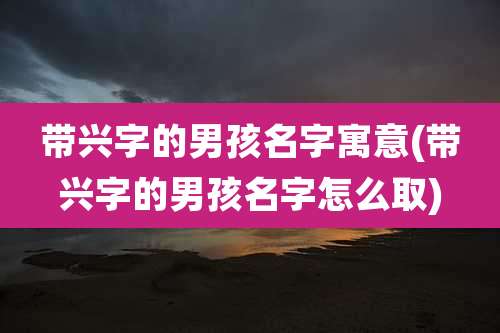 带兴字的男孩名字寓意(带兴字的男孩名字怎么取)