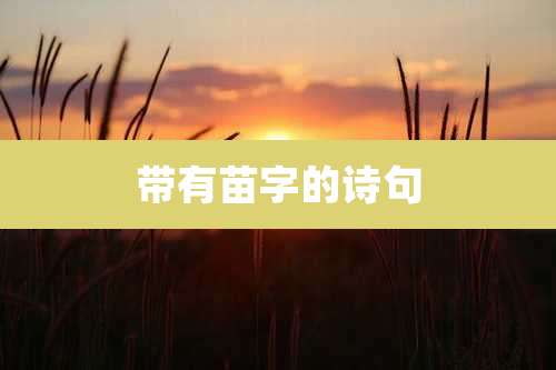 带有苗字的诗句