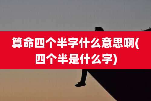 算命四个半字什么意思啊(四个半是什么字)