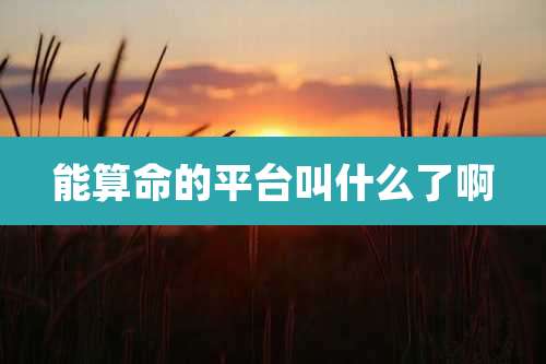 能算命的平台叫什么了啊