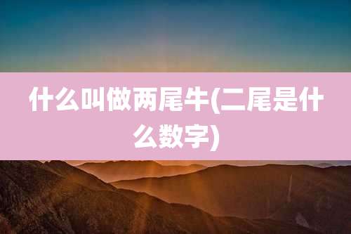 什么叫做两尾牛(二尾是什么数字)