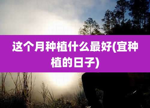 这个月种植什么最好(宜种植的日子)