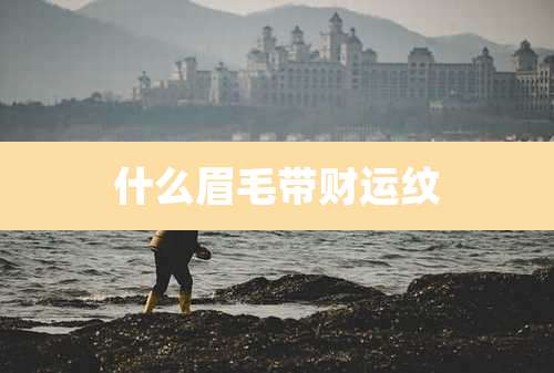 什么眉毛带财运纹