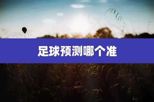 足球预测哪个准