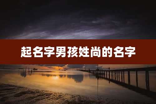 起名字男孩姓尚的名字