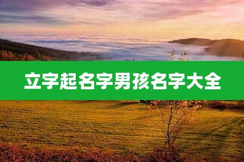 立字起名字男孩名字大全