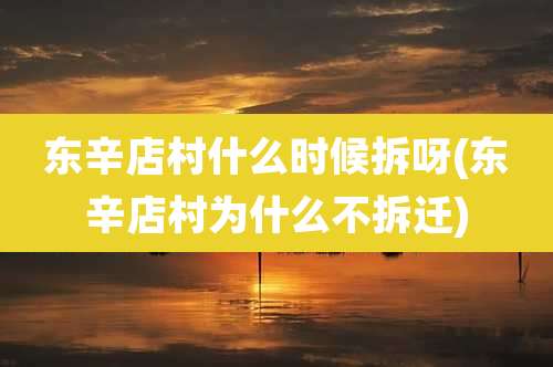 东辛店村什么时候拆呀(东辛店村为什么不拆迁)