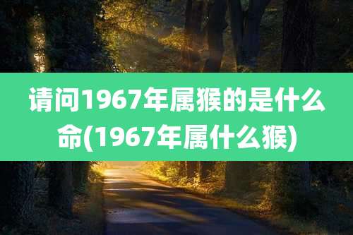 请问1967年属猴的是什么命(1967年属什么猴)