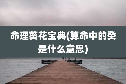 命理葵花宝典(算命中的癸是什么意思)