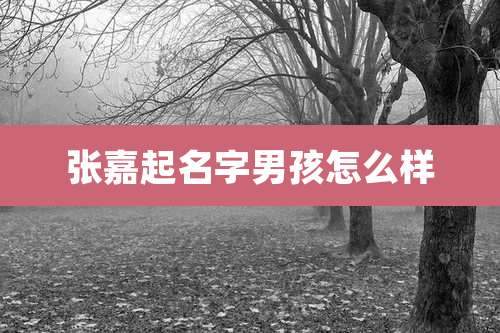 张嘉起名字男孩怎么样