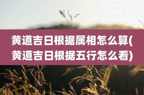 黄道吉日根据属相怎么算(黄道吉日根据五行怎么看)