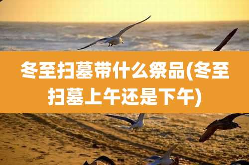 冬至扫墓带什么祭品(冬至扫墓上午还是下午)