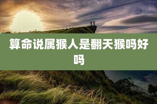 算命说属猴人是翻天猴吗好吗