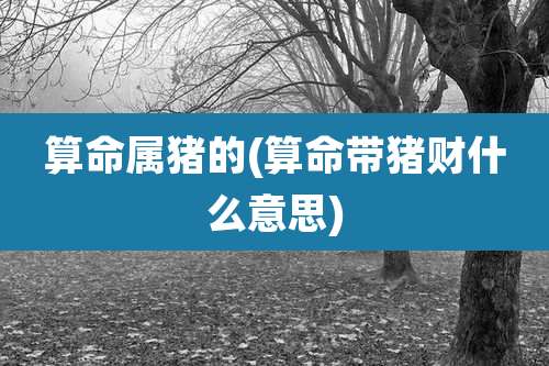 算命属猪的(算命带猪财什么意思)