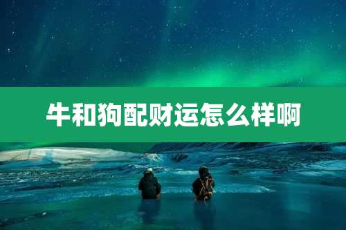 牛和狗配财运怎么样啊