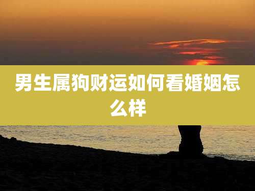 男生属狗财运如何看婚姻怎么样