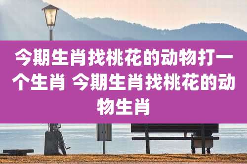 今期生肖找桃花的动物打一个生肖 今期生肖找桃花的动物生肖