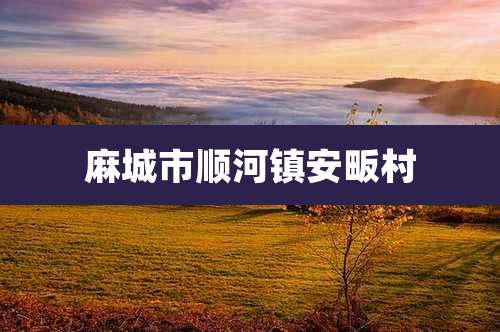 麻城市顺河镇安畈村