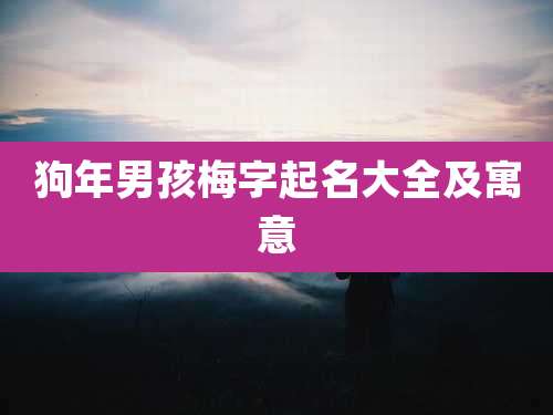 狗年男孩梅字起名大全及寓意