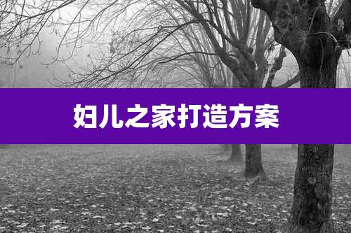 妇儿之家打造方案