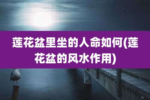 莲花盆里坐的人命如何(莲花盆的风水作用)