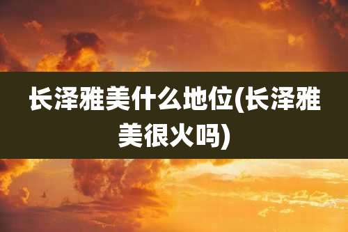 长泽雅美什么地位(长泽雅美很火吗)