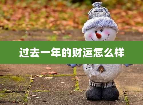 过去一年的财运怎么样
