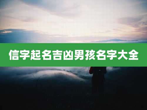 信字起名吉凶男孩名字大全