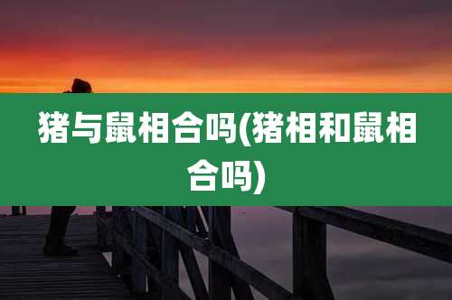 猪与鼠相合吗(猪相和鼠相合吗)