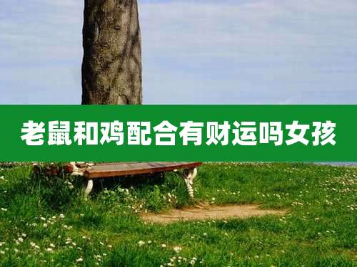 老鼠和鸡配合有财运吗女孩