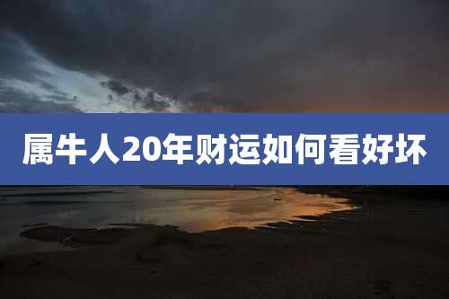 属牛人20年财运如何看好坏