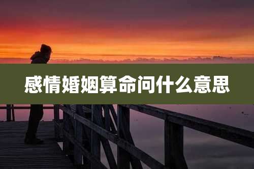 感情婚姻算命问什么意思