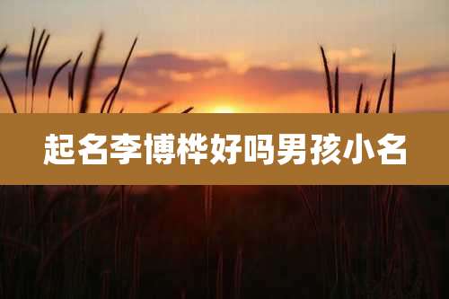 起名李博桦好吗男孩小名