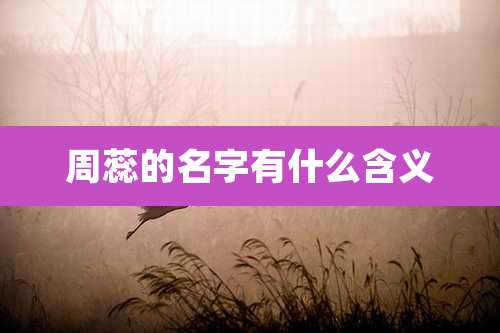 周蕊的名字有什么含义