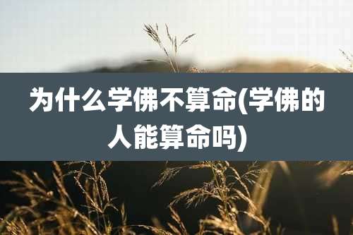 为什么学佛不算命(学佛的人能算命吗)