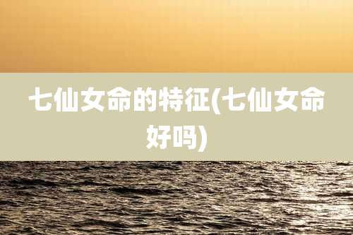 七仙女命的特征(七仙女命好吗)