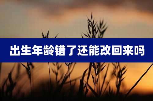 出生年龄错了还能改回来吗