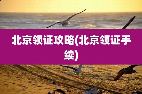 北京领证攻略(北京领证手续)