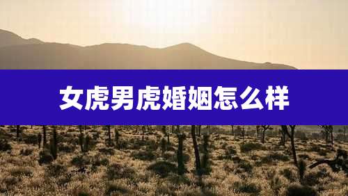 女虎男虎婚姻怎么样