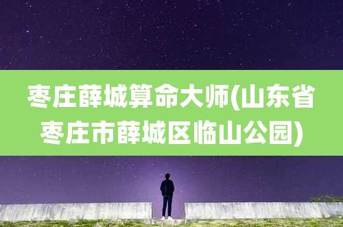 枣庄薛城算命大师(山东省枣庄市薛城区临山公园)
