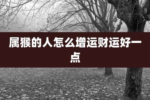 属猴的人怎么增运财运好一点