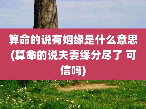 算命的说有姻缘是什么意思(算命的说夫妻缘分尽了 可信吗)