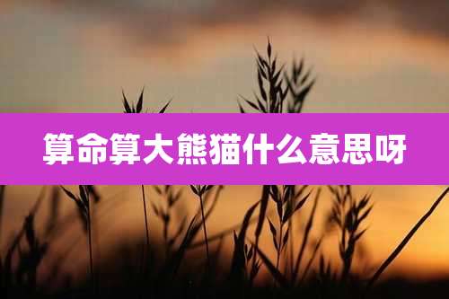 算命算大熊猫什么意思呀