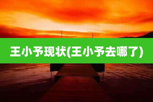 王小予现状(王小予去哪了)