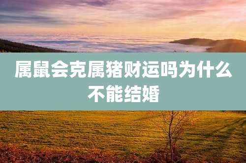 属鼠会克属猪财运吗为什么不能结婚