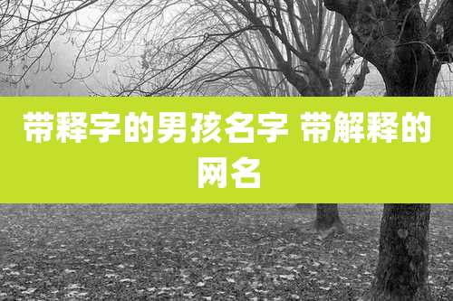 带释字的男孩名字 带解释的网名