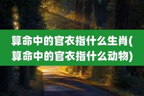 算命中的官衣指什么生肖(算命中的官衣指什么动物)