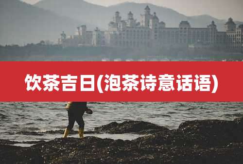 饮茶吉日(泡茶诗意话语)
