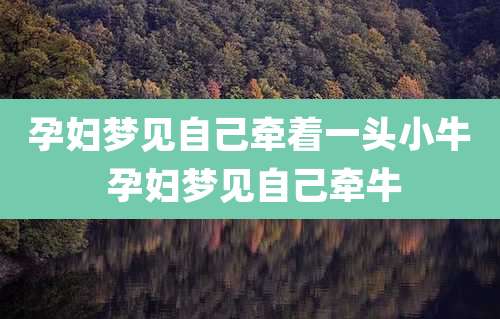 孕妇梦见自己牵着一头小牛 孕妇梦见自己牵牛