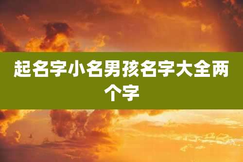 起名字小名男孩名字大全两个字